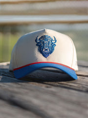 Unisex Buffalo Football Lover Printed Hat